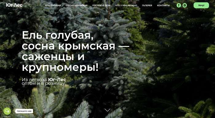 Питомник «Юг-Лес»