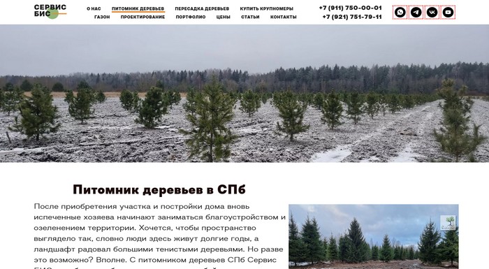 Питомник деревьев Сервис БиС