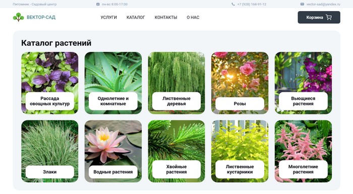 Питомник «Вектор Сад»