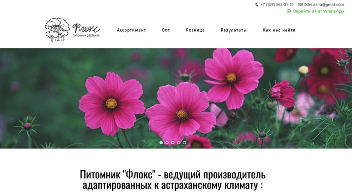 Питомник «Флокс»